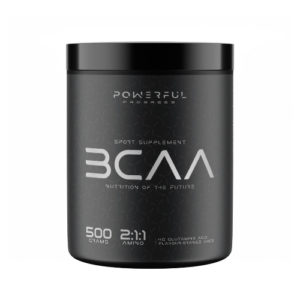 AMINO BCAA 2:1:1 Апельсин 500 грам