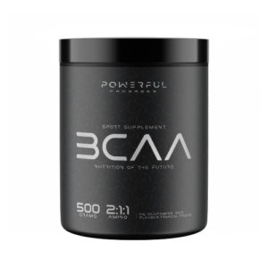 AMINO BCAA 2:1:1 Тропічний мікс 500 грам