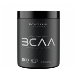 AMINO BCAA 2:1:1 Кавун 500 грам