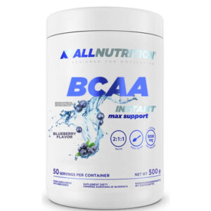 BCAA Max Support Instant 500g Чорниця